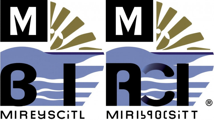 Profit from MSCI, the foundation of the financial industry