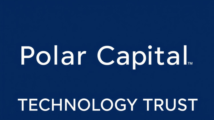 A low-cost, leveraged technology play is called Polar Capita