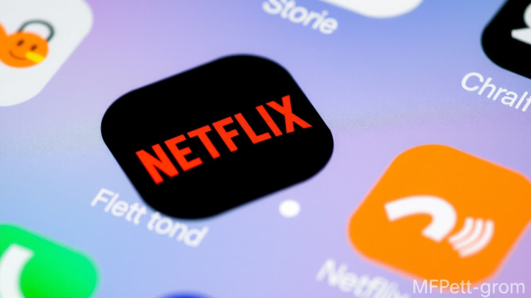 Does Netflix make sense as an investment?
