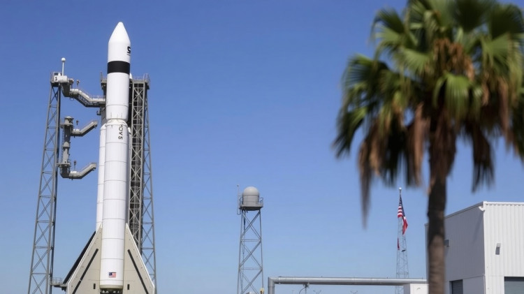 The share price of SpaceX plummets after the results