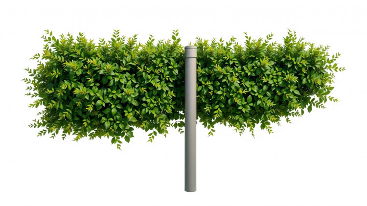 The question is, should I hedge or not?